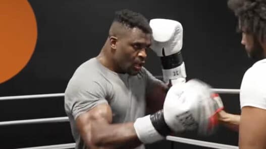 ngannou fury humain