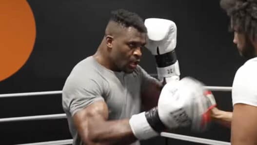 ngannou fury humain