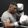 ngannou fury humain