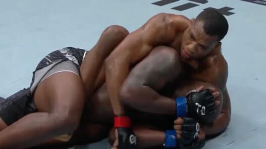 almeida domine lewis