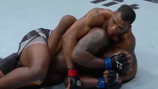 almeida domine lewis