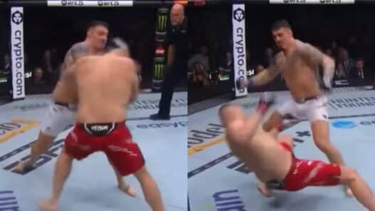 aspinall ko pavlovich