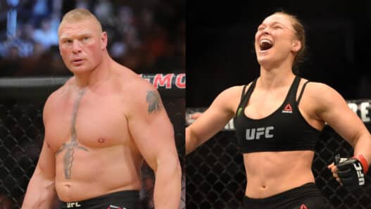 ufc brock lesnar ronda rousey