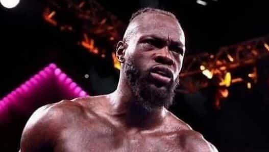 Deontay Wilder retour bridgerweight