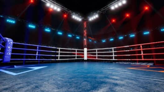 boxeur 14 ans décède