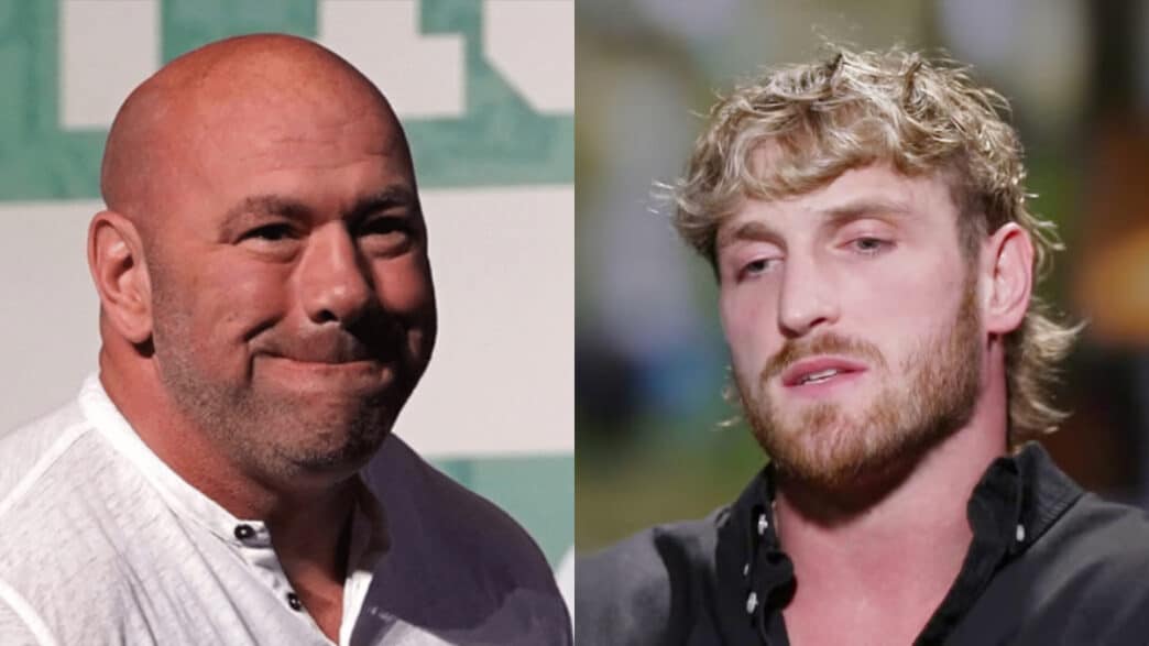 dana white logan paul