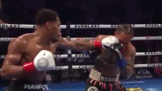 haney domine prograis