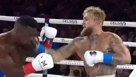 jake paul gros ko