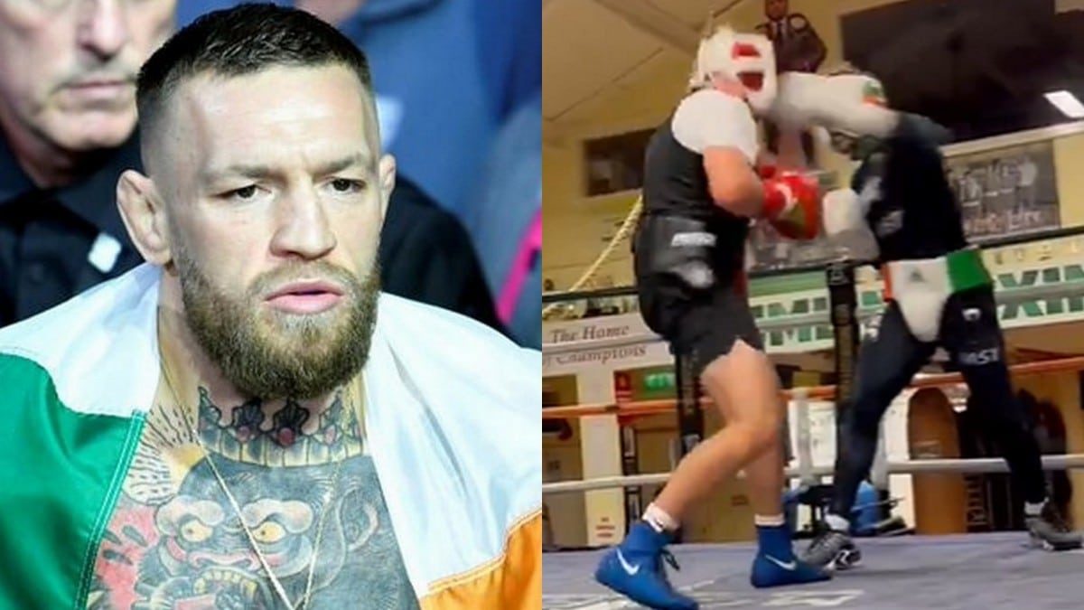 UFC: Conor McGregor fera un retour en janvier | La Presse