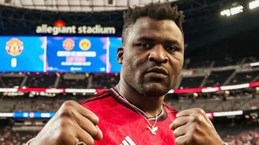 Francis Ngannou boxe