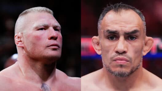 brock lesnar tony ferguson