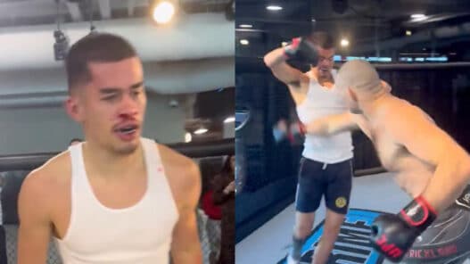 strickland influenceur sang