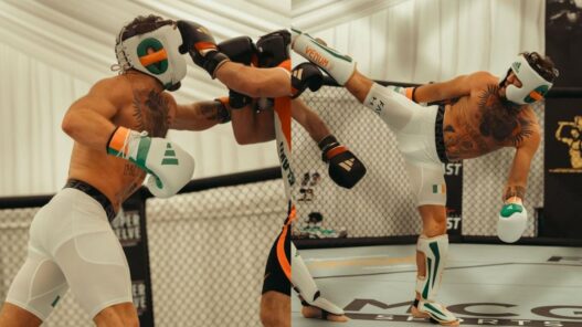 conor mcgregor retour entraînement