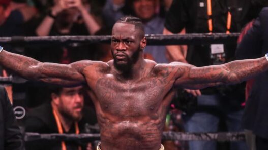 deontay wilder retour
