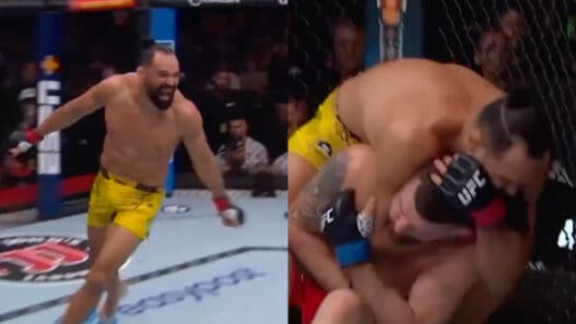 michel pereira détruit