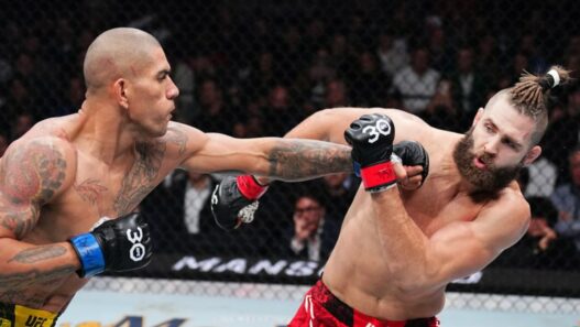 prochazka revanche alex pereira