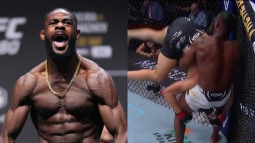 ufc 300 aljamain sterling