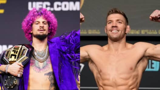 ufc classement catégories