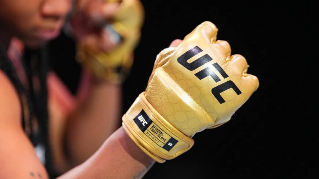 ufc gants