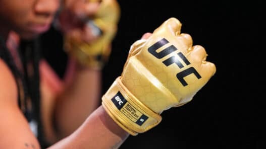 ufc gants