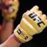 ufc gants