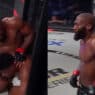 bellator paris cédric doumbé tko