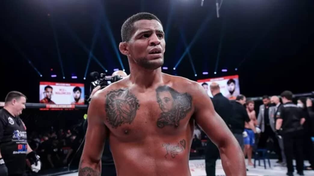 bellator paris patchy mix