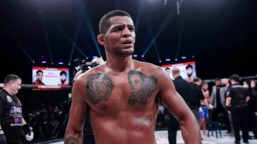 bellator paris patchy mix