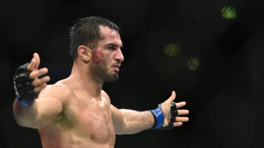 gegard mousasi pfl