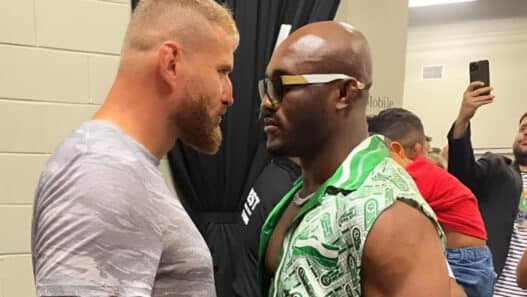 kamaru usman jan blachowicz