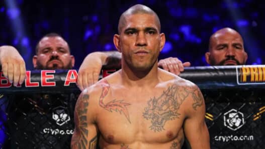 alex pereira surcoté