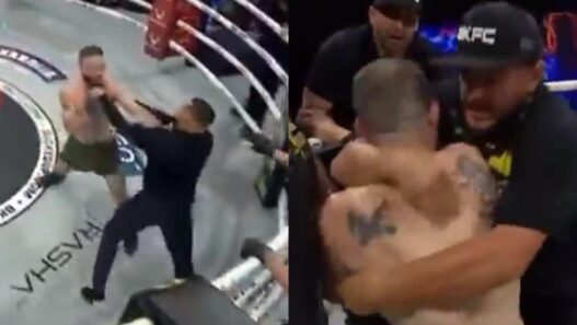 athlète frappe arbitre