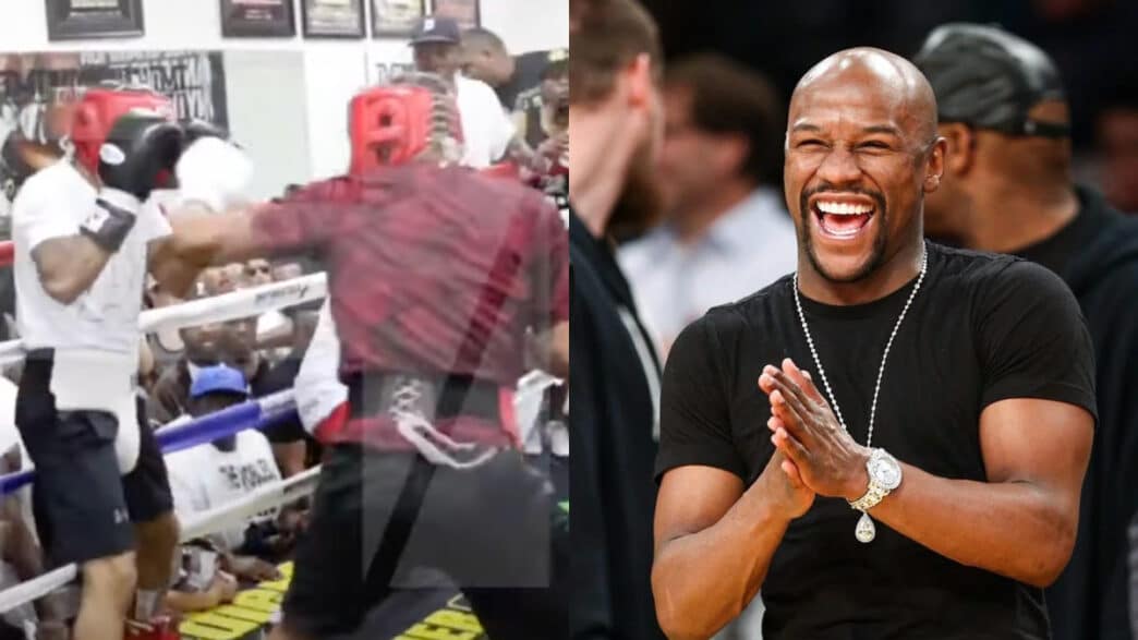 mayweather sparring gervonta haney