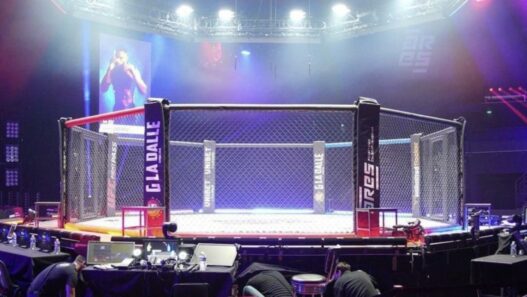 nouveau boss ares mma