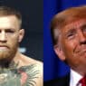 conor mcgregor furieux donald trump