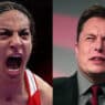 imane khelif plainte elon musk