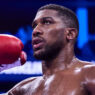 anthony joshua battre fury usyk