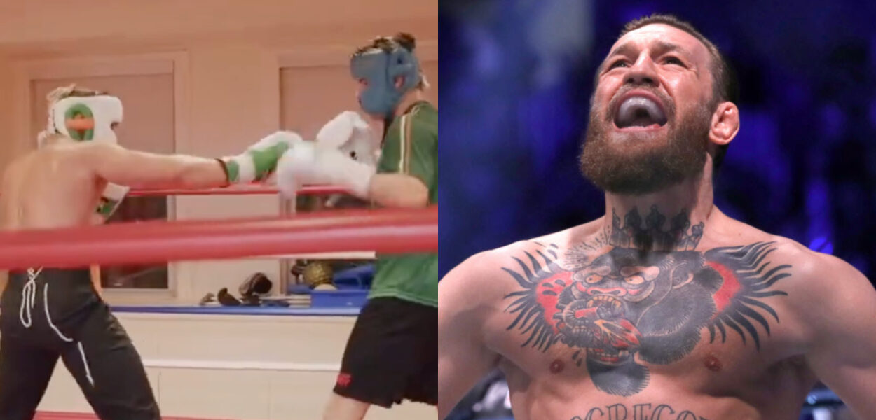 conor mcgregor sparring