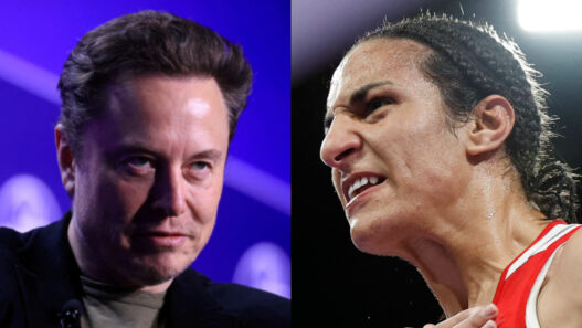 imane khelif elon musk