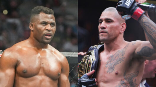 ngannou fan alex pereira