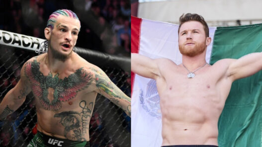 sean o'malley provoque canelo alvarez