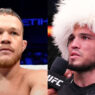 umar nurmagomedov petr yan