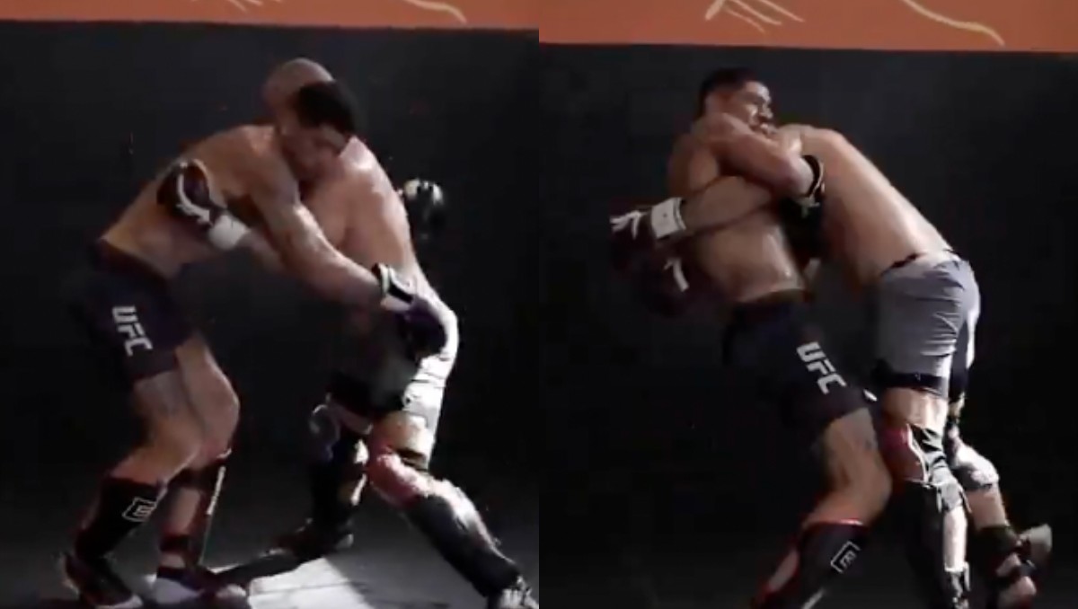 Alex Pereira dévoile des images de ses progrès en grappling