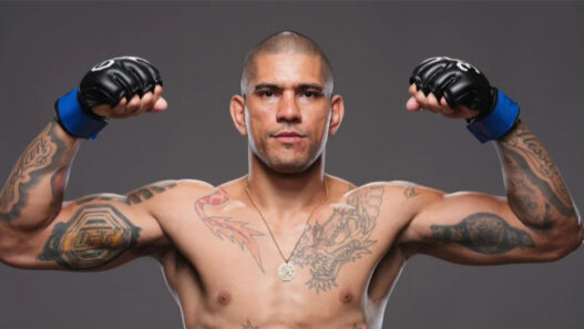 alex pereira ufc 310