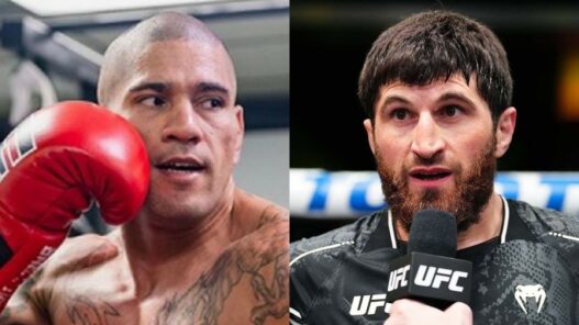 alex pereira ankalaev UFC 313