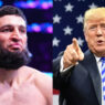 khamzat chimaev donald trump