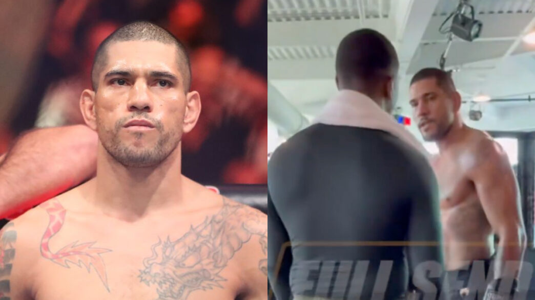 alex pereira hill venir aux mains