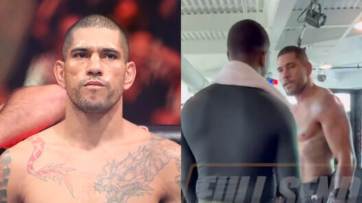 alex pereira hill venir aux mains