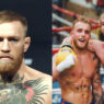 conor mcgregor logan jake paul