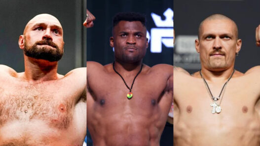 ngannou pronostic usyk fury